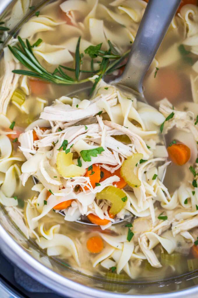 Chicken Noodle Soup